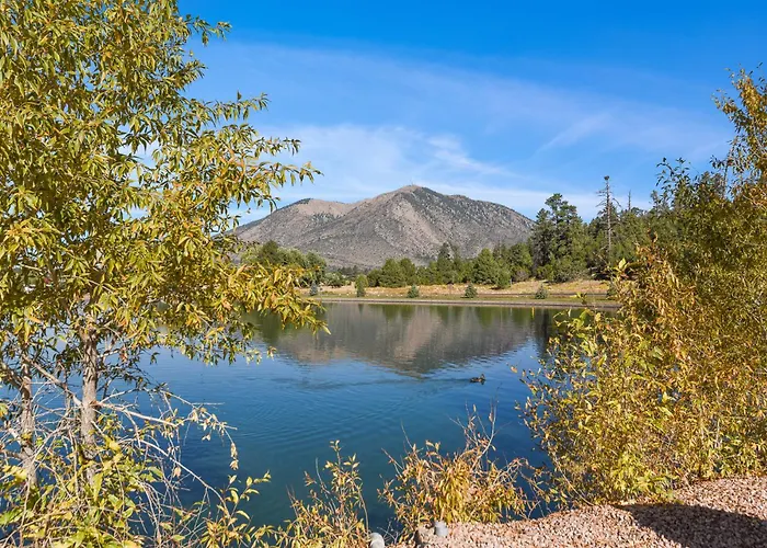 Burning Tree